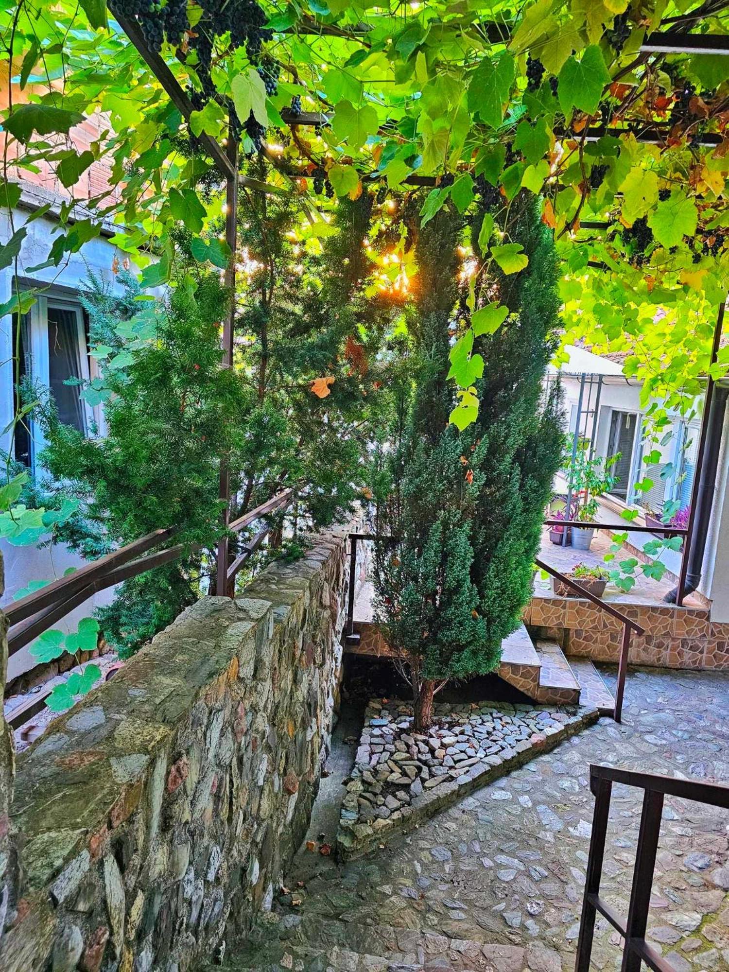 Studio Apartments Siesta 塞拉耶佛 外观 照片